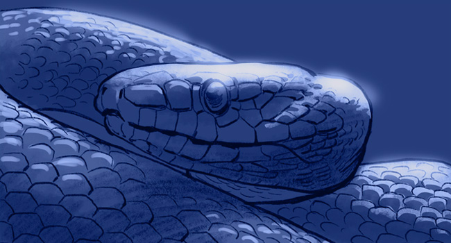 Y-YSL-storyboard-Fontimpe